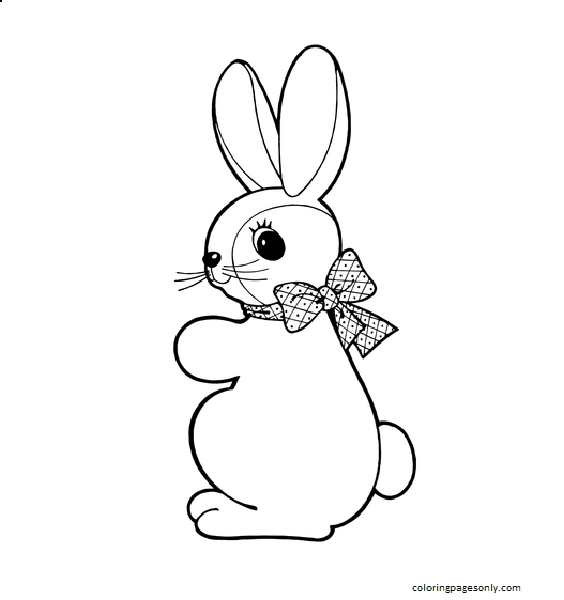 可爱的复活节兔子从兔子