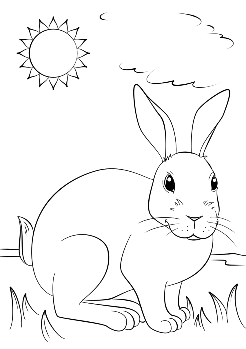 Cute Bunny Under The Sunshine Coloring Pages