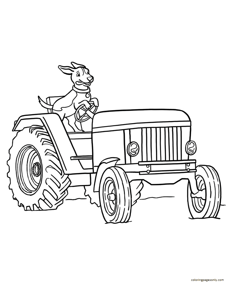 dog driving airplane coloring pages