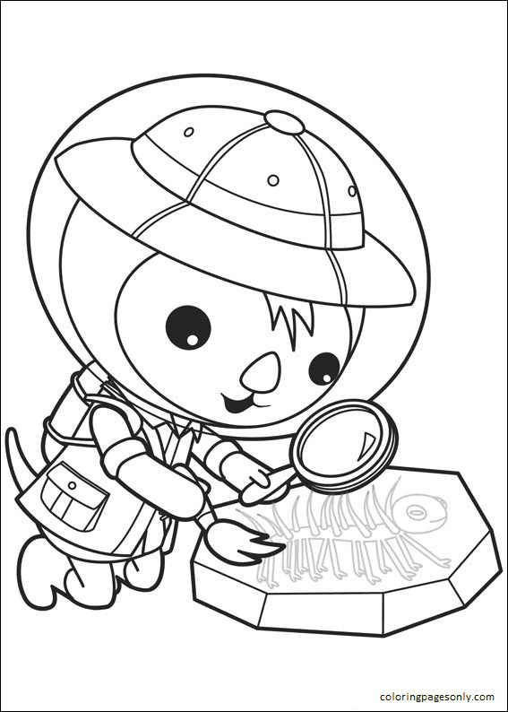 Dr Shellington Finds a Fossil Coloring Page