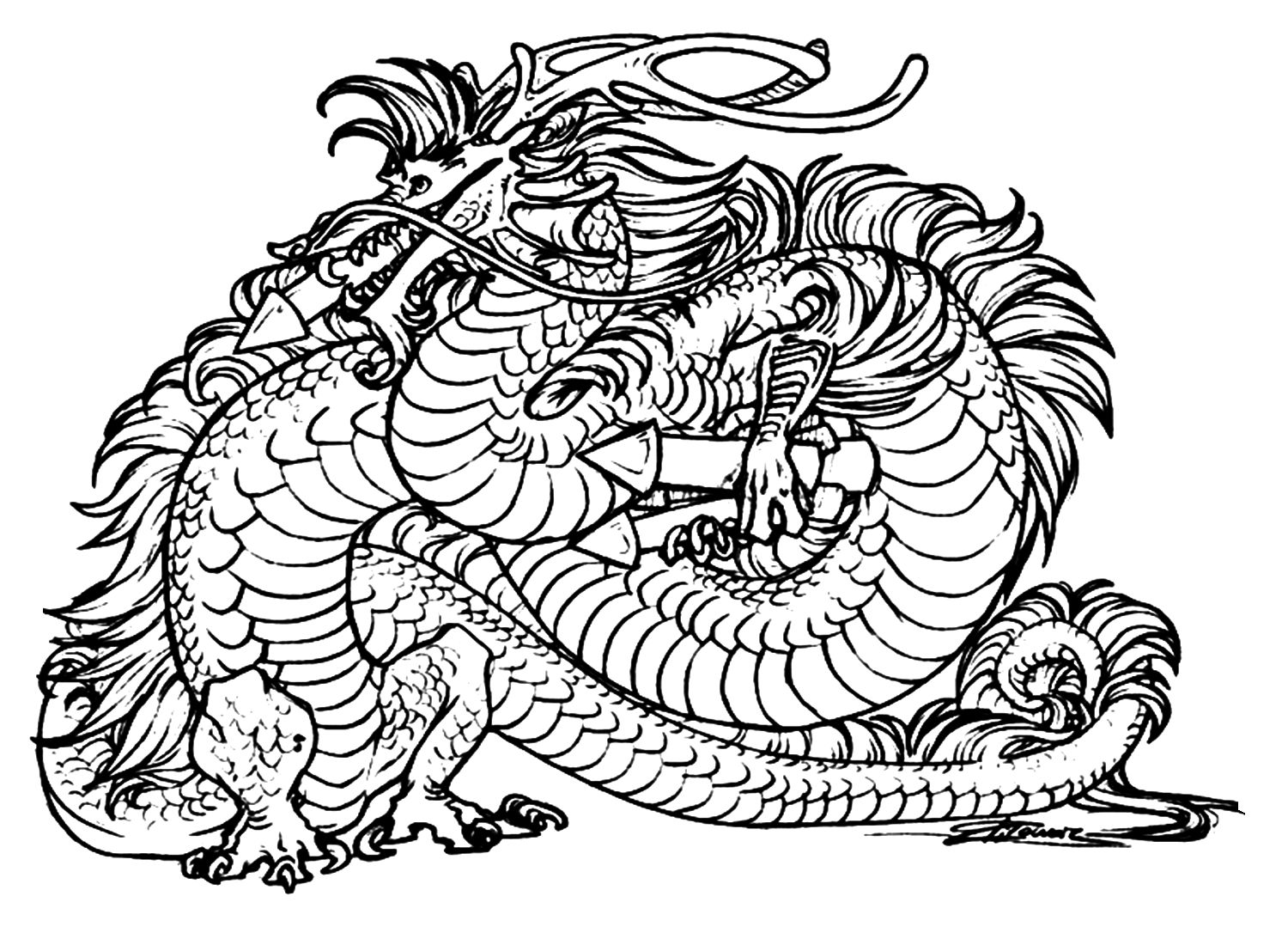 Dragon Coloring Page PNG Coloring Pages - Dragon Coloring Pages ...