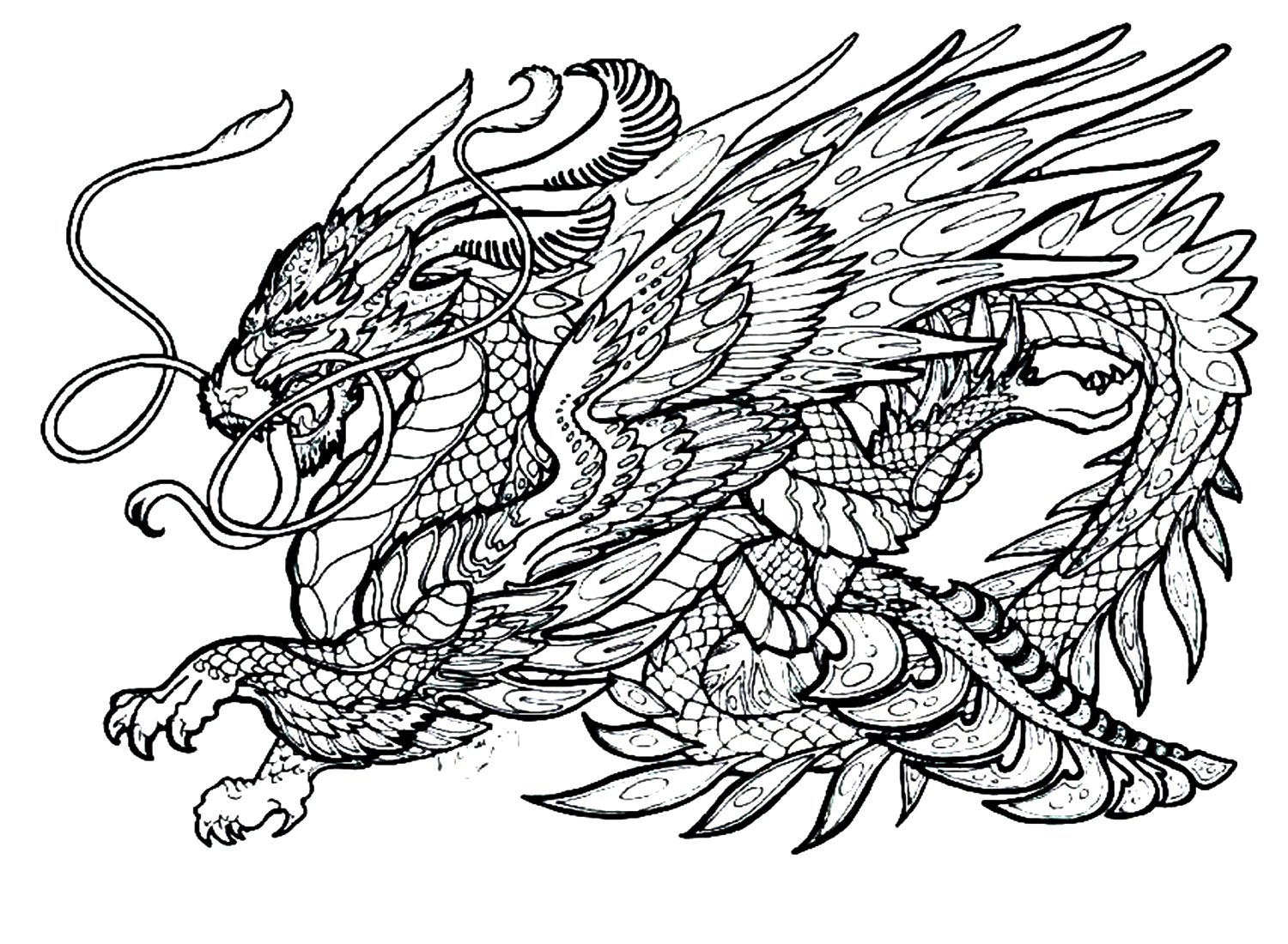 Dragon For Adults Coloring Page