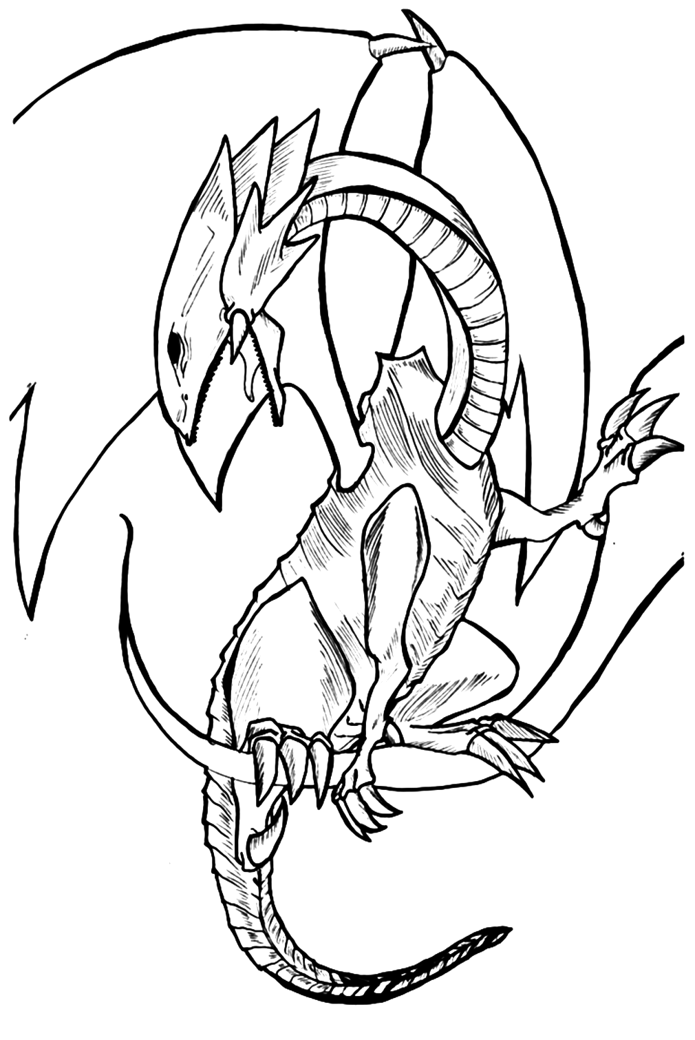 Dragons For Kids Coloring Pages