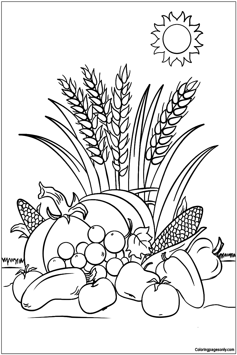 Fall Harvest Coloring Pages
