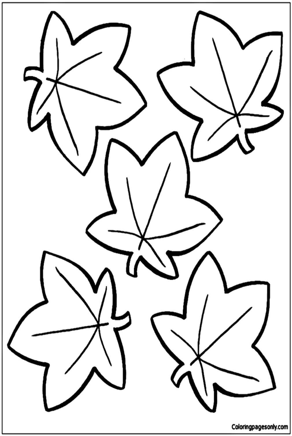 Fall Leaf Coloring Pages