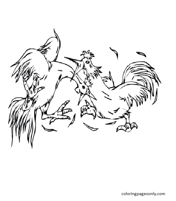Fighting Roosters Coloring Page