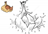Connect the dots cloves garlic vegetable Coloring Pages