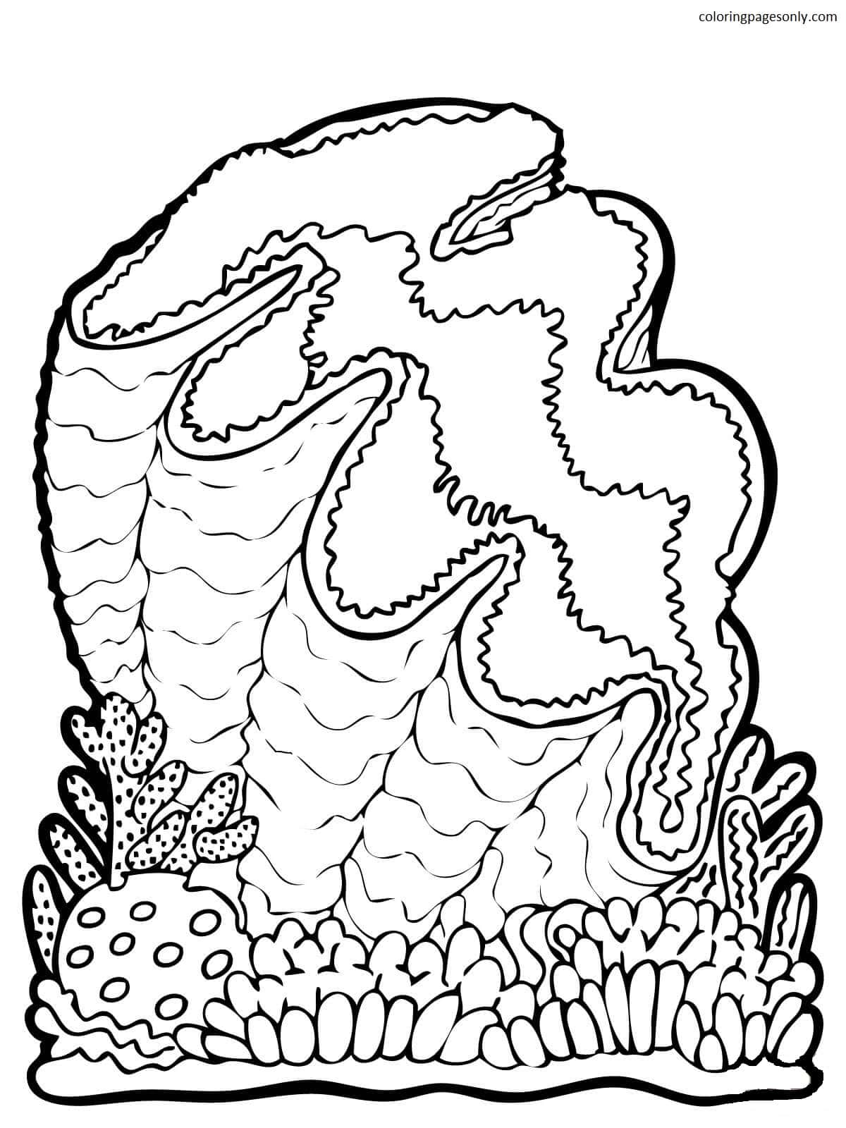 Раскраска Гигантский моллюск