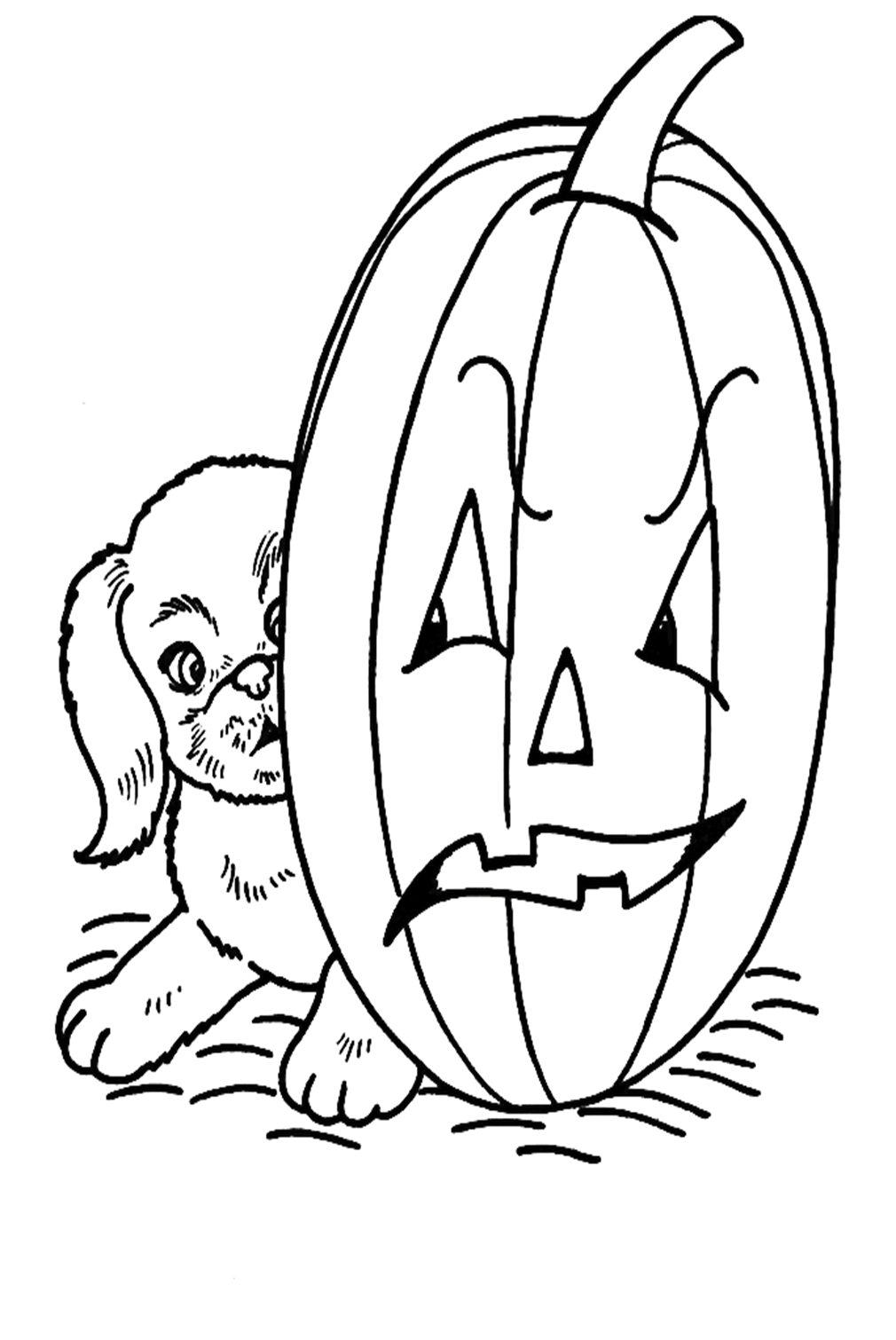 Halloween Pumpkin And Dog Coloring Page