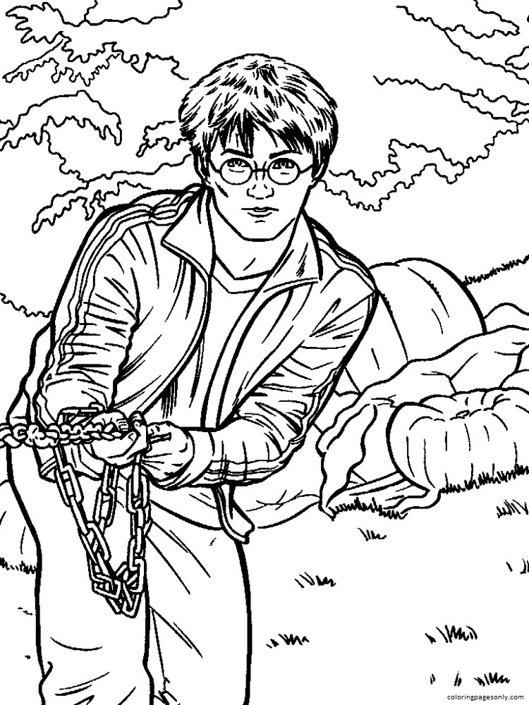 Harry Poter 9 Coloring Page
