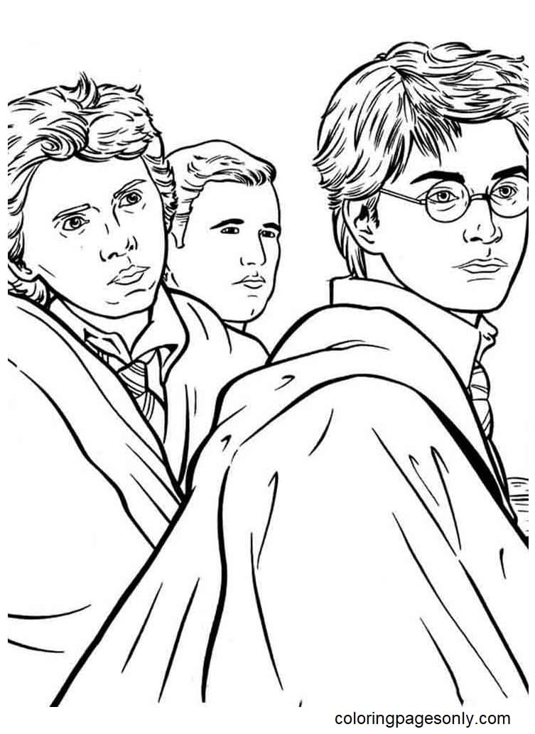 Página para colorir de Harry Potter e seus amigos de Harry Potter
