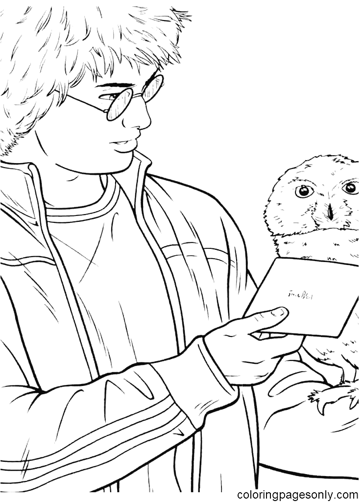 Harry Potter and Hedwig from Harry Potter