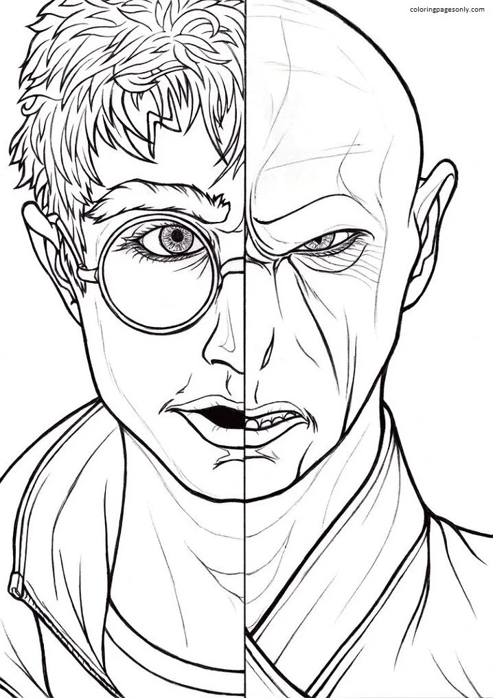 Harry Potter et le visage de Voldemort