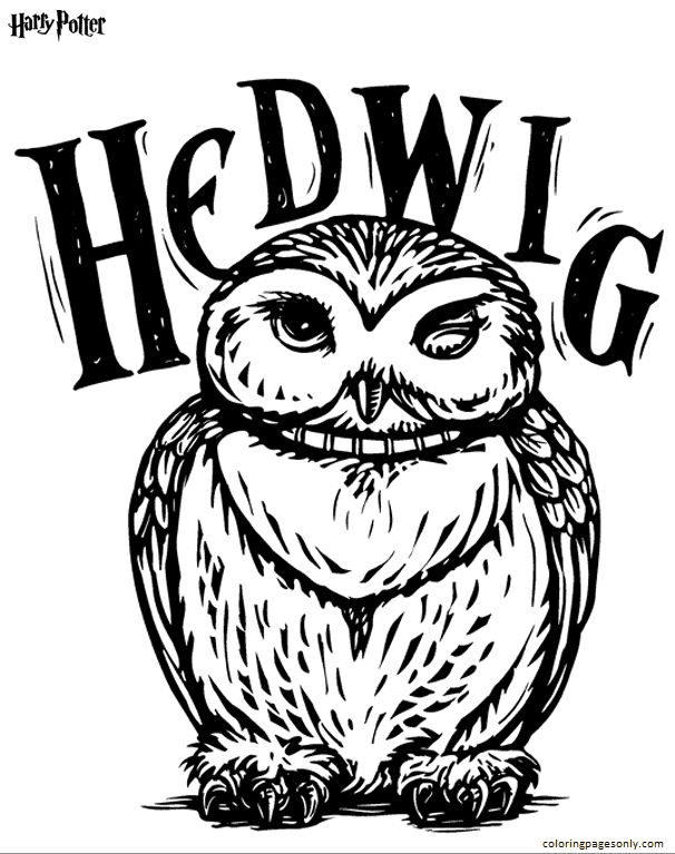 Hedwig 2 aus Harry Potter