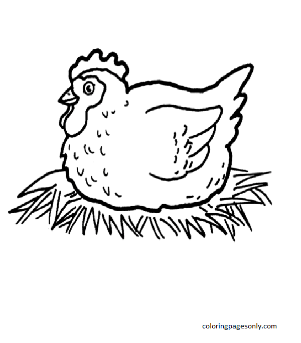 Hen Hatching Chicken Eggs Coloring Page