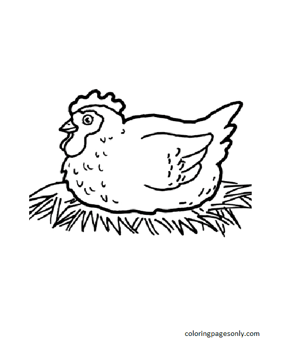 Hen on Nest Coloring Page