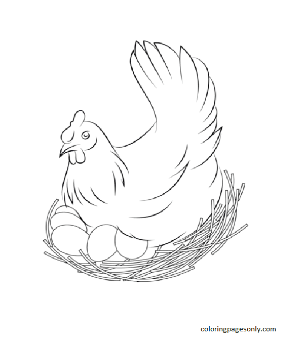 Hen Sits on Eggs Coloring Page