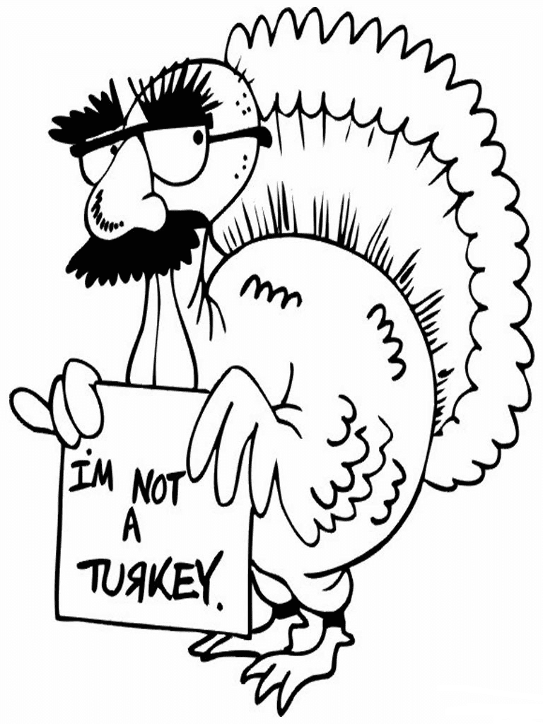 Ich bin kein Truthahn aus der Türkei