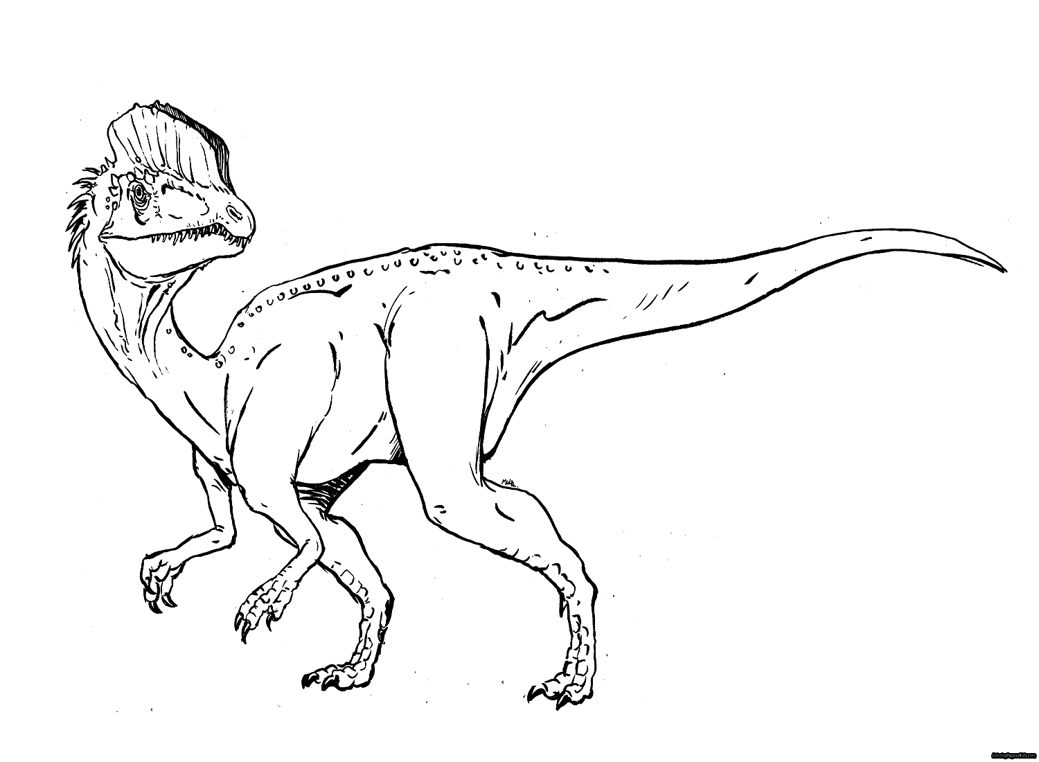 Jurassic World Coloring Pages Indominus Rex Coloring Pages