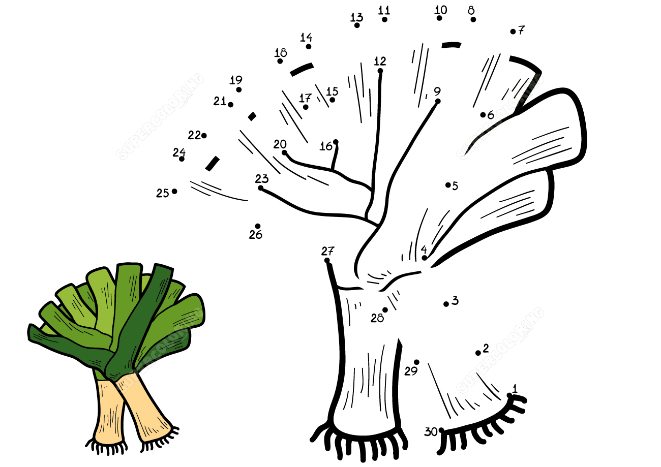 Leek connect the dots for kids Coloring Page