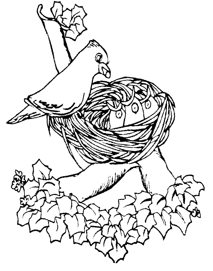 Página para colorir mãe pássaro alimentando bebê fofo no ninho