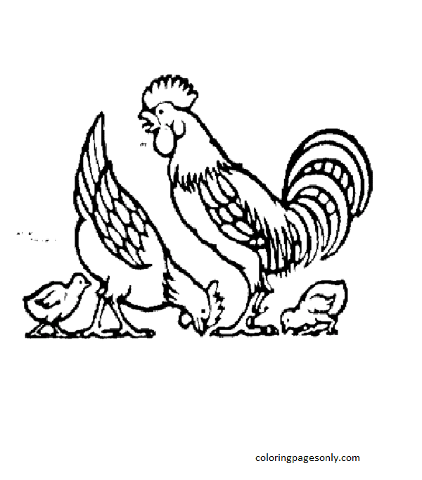 Mother hen, rooster and cute chicks Coloring Page