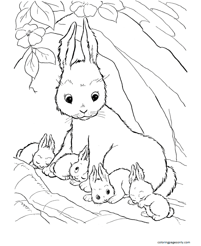 Mother Rabbit And Baby Rabbits Coloring Pages