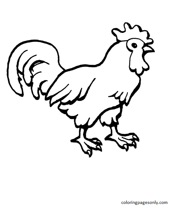 Picture Of rooster Coloring Page