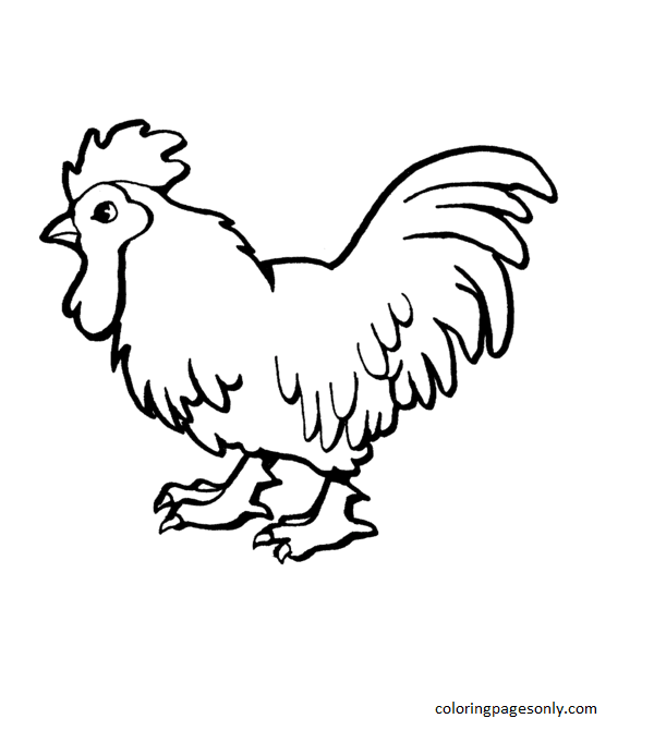 Proud rooster Coloring Page
