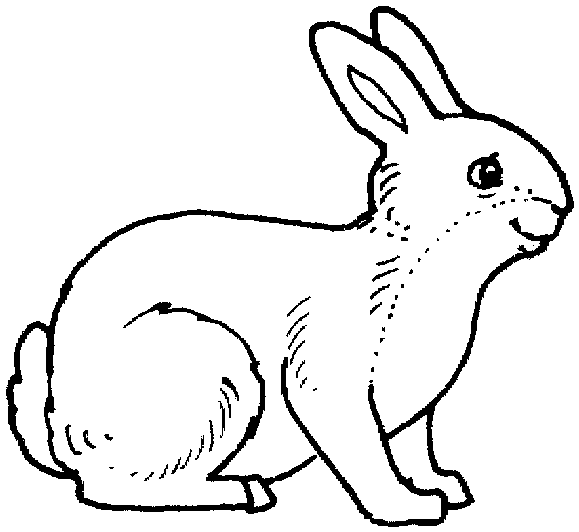 Cute Bunny Smiles Has Black Eyes Coloring Pages