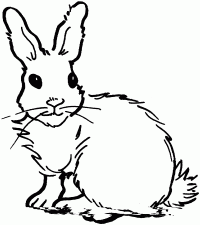Bunny with two beards on each side of cheek Coloring Page