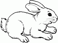 Bunny prepares to jump far away Coloring Pages