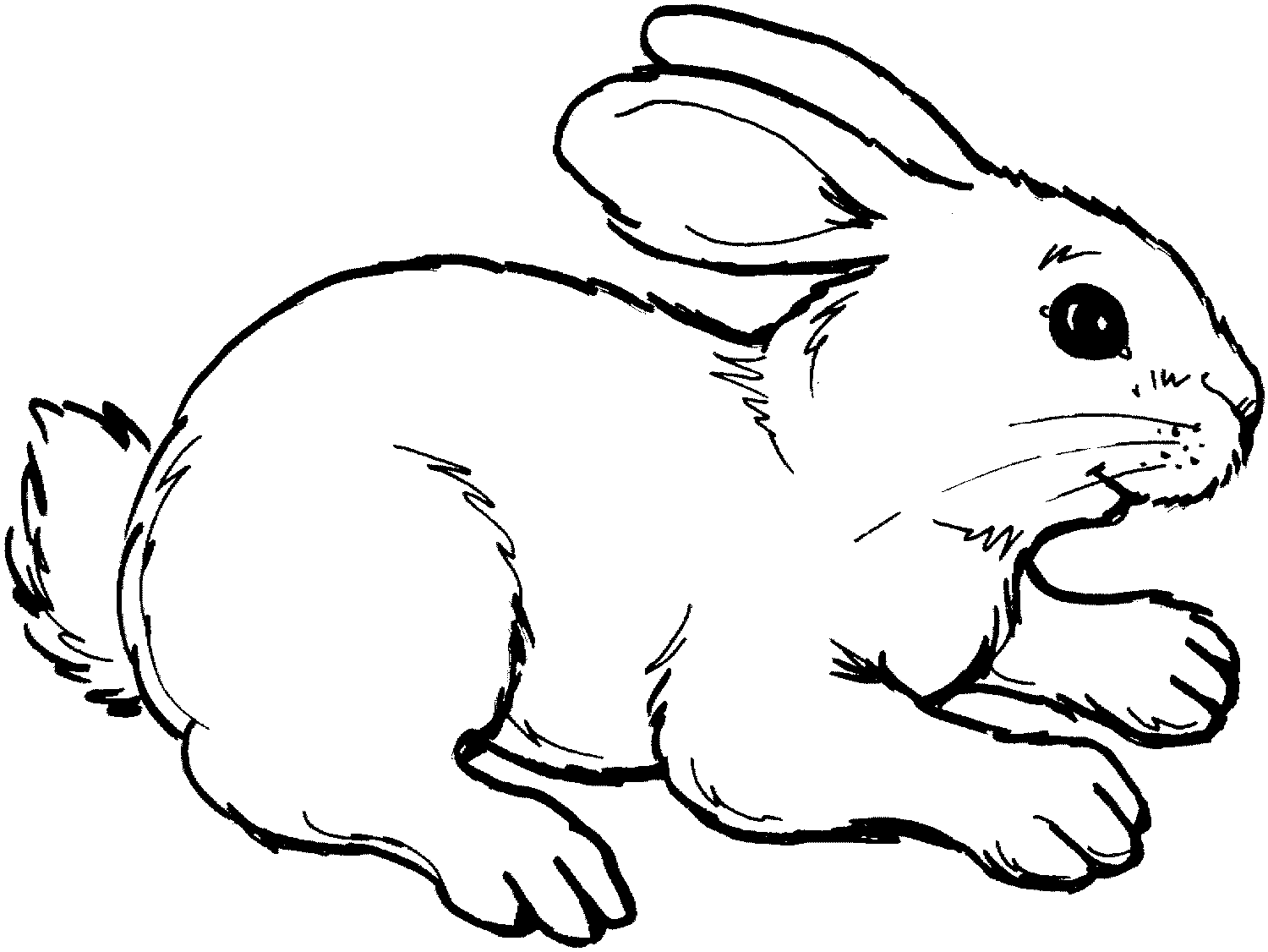 Bunny prepares to jump far away Coloring Pages