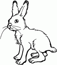 Tall Bunny has four thin legs Coloring Page