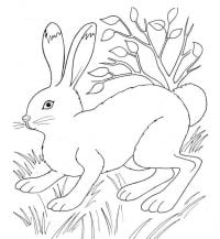 Rabbit lies down in the grass Coloring Page