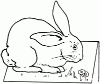 Big Bunny on the table Coloring Page