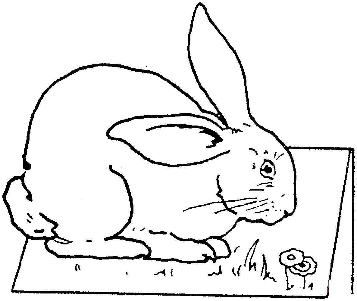 Big Bunny On The Table Coloring Pages