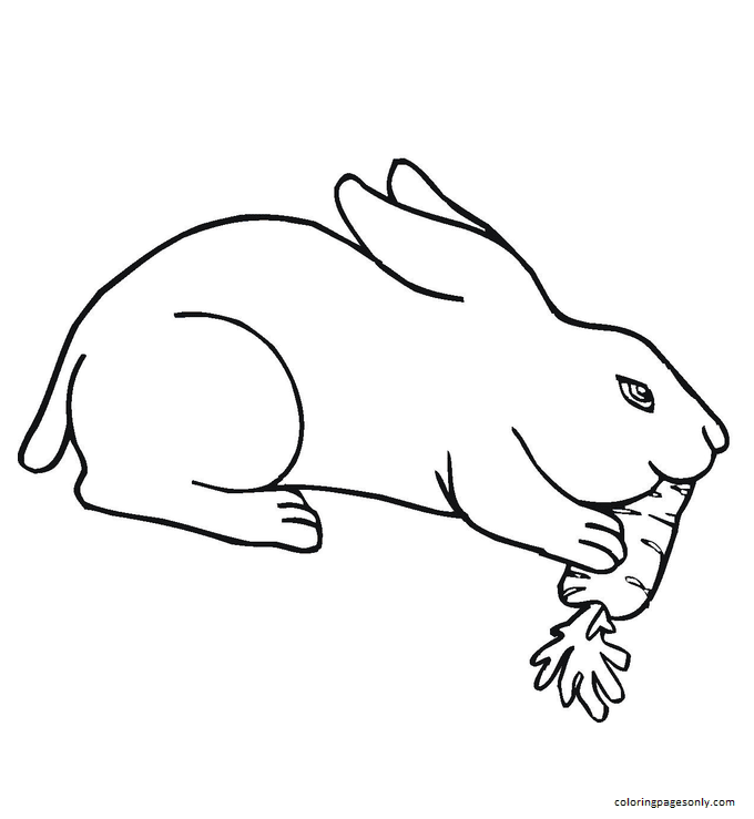 Кролики едят морковку от кролика