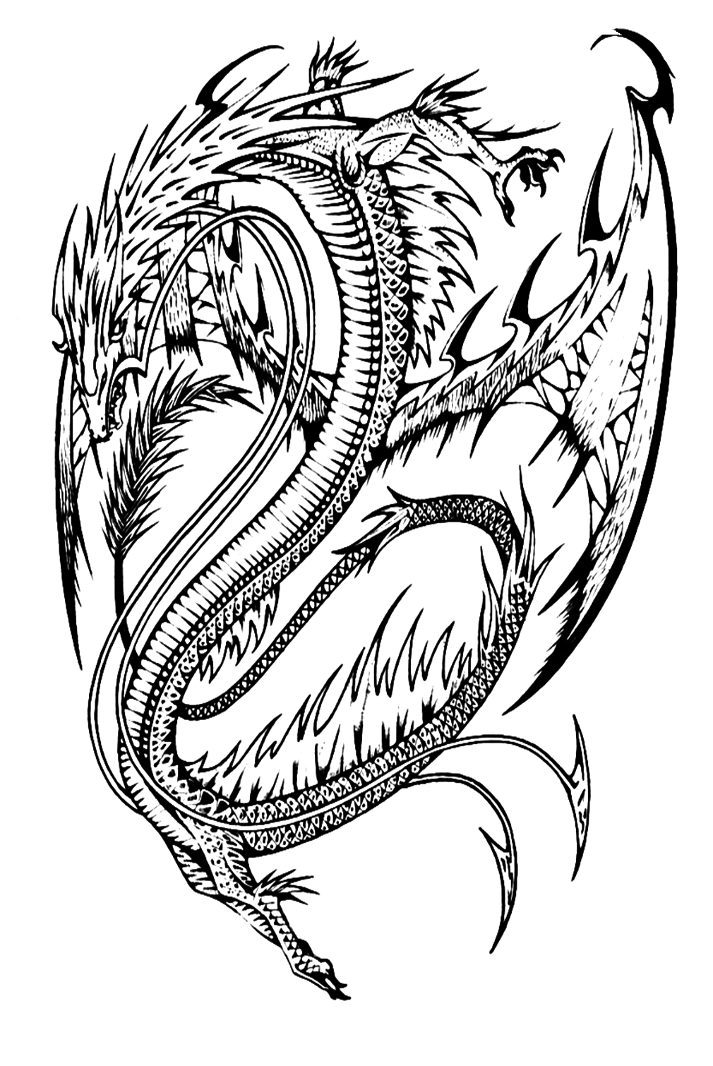 Realistic Dragon Picture To Color Coloring Page