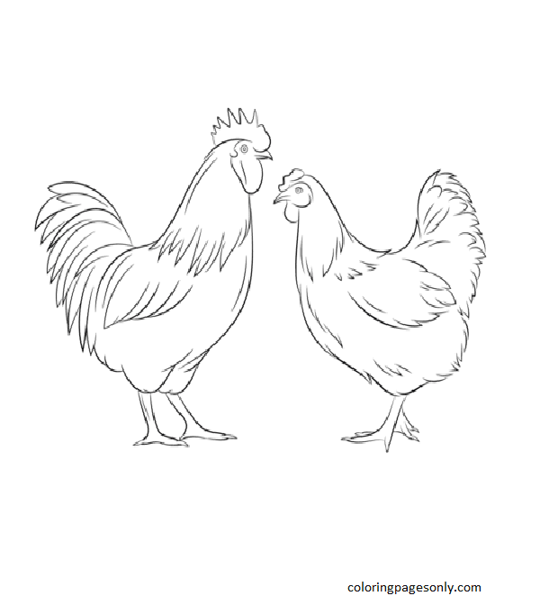 Rooster and Hen Coloring Page