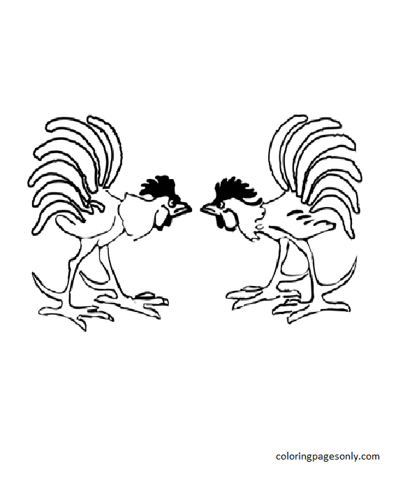 Rooster Fight Coloring Pages