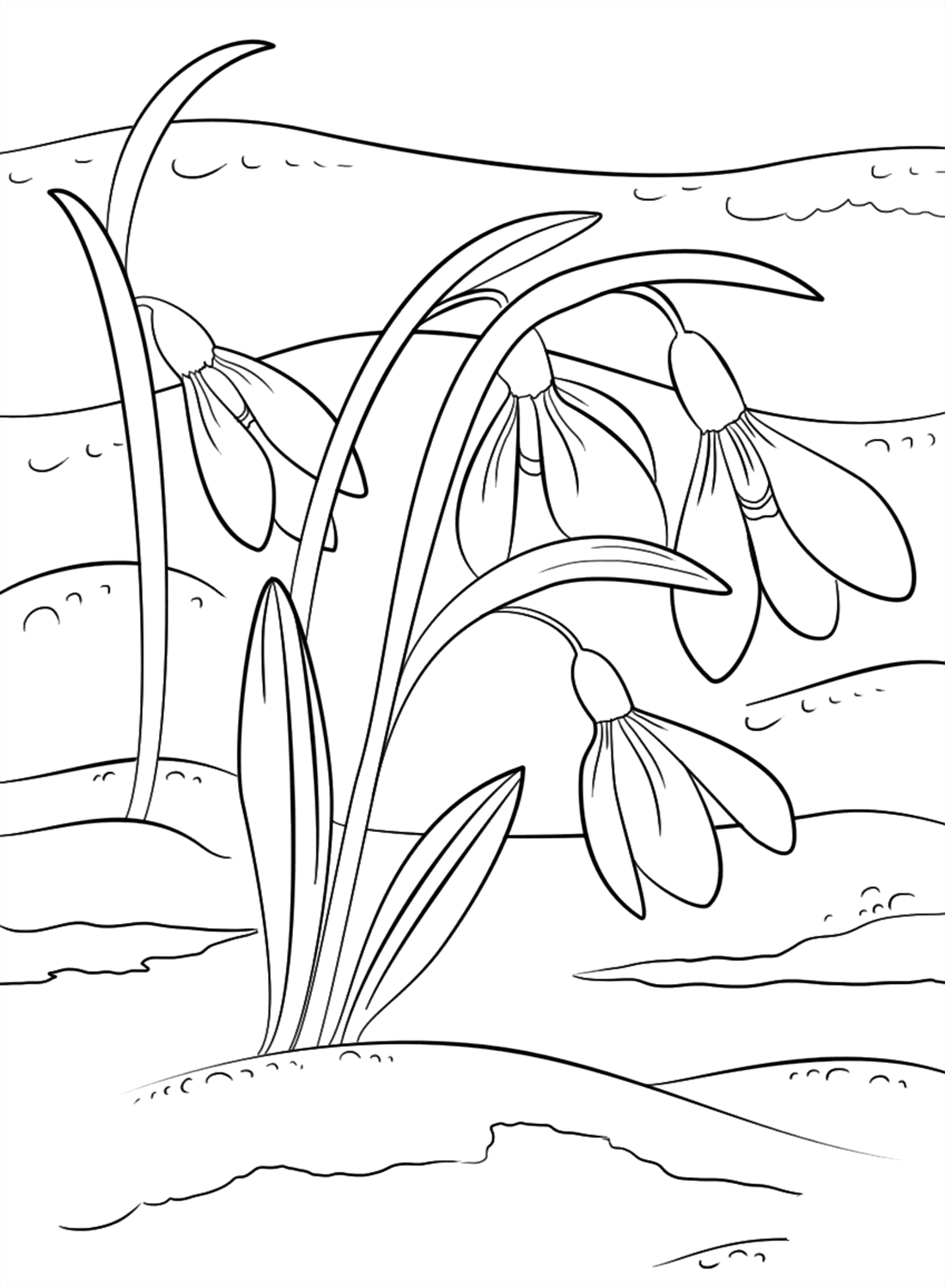 Snowdrop Flowers Coloring Pages