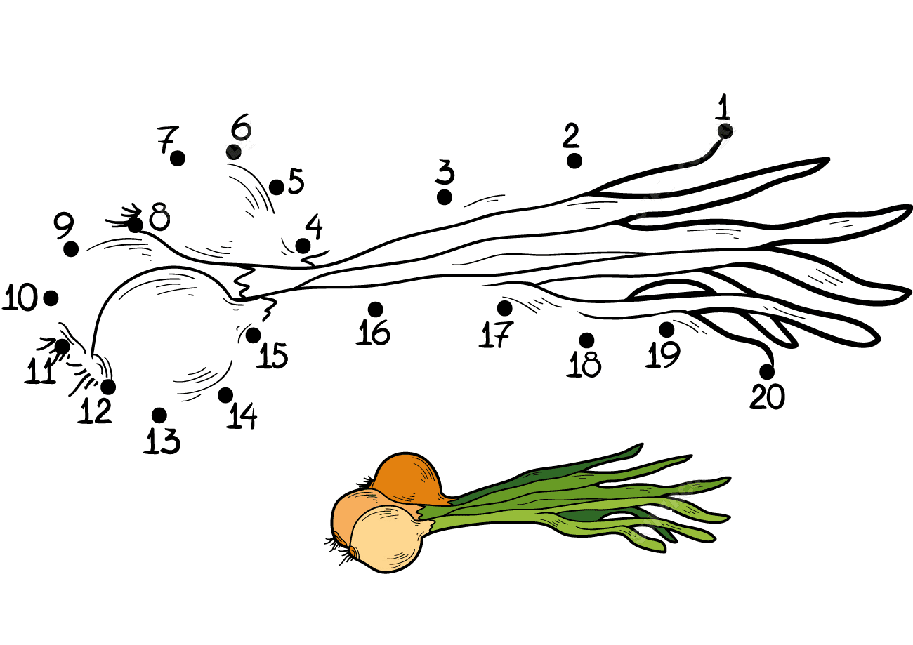 Spring onion connect the dots for kids Coloring Pages