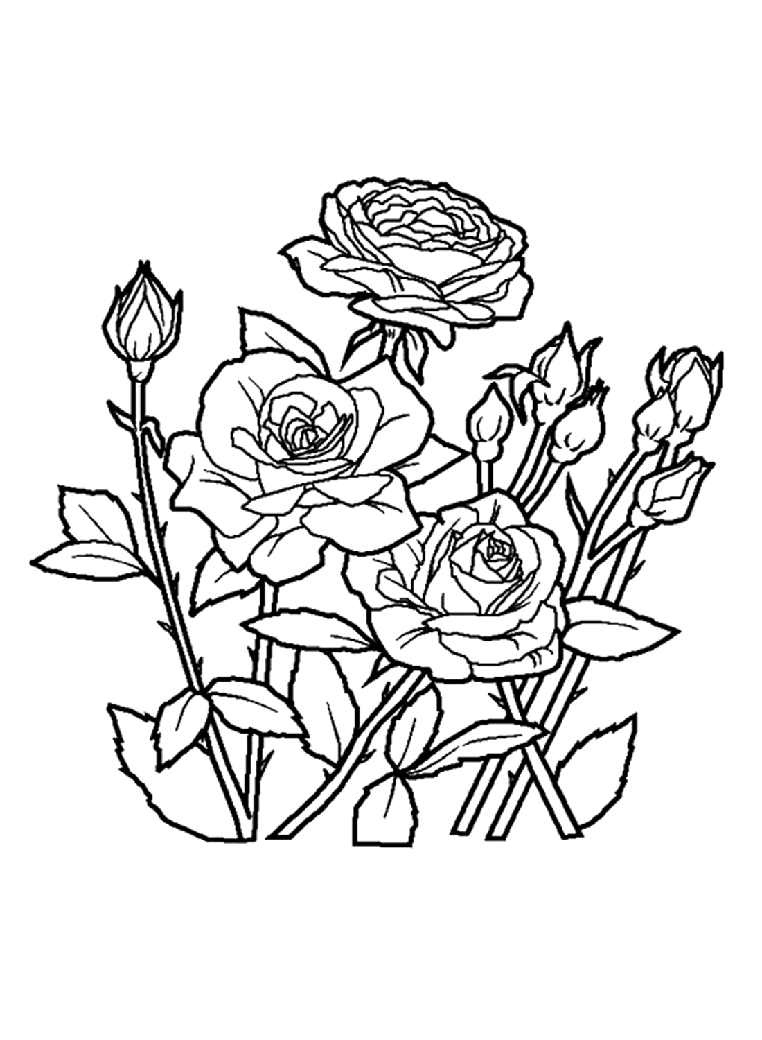 The Spring Rose Coloring Pages
