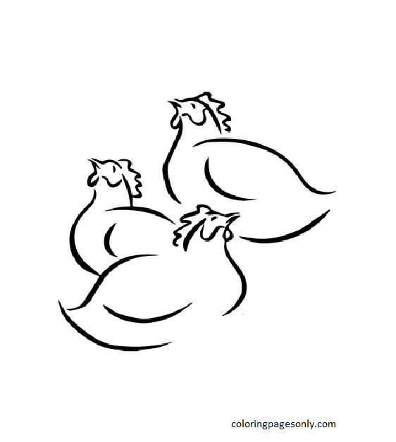 Tre galline francesi di pollo