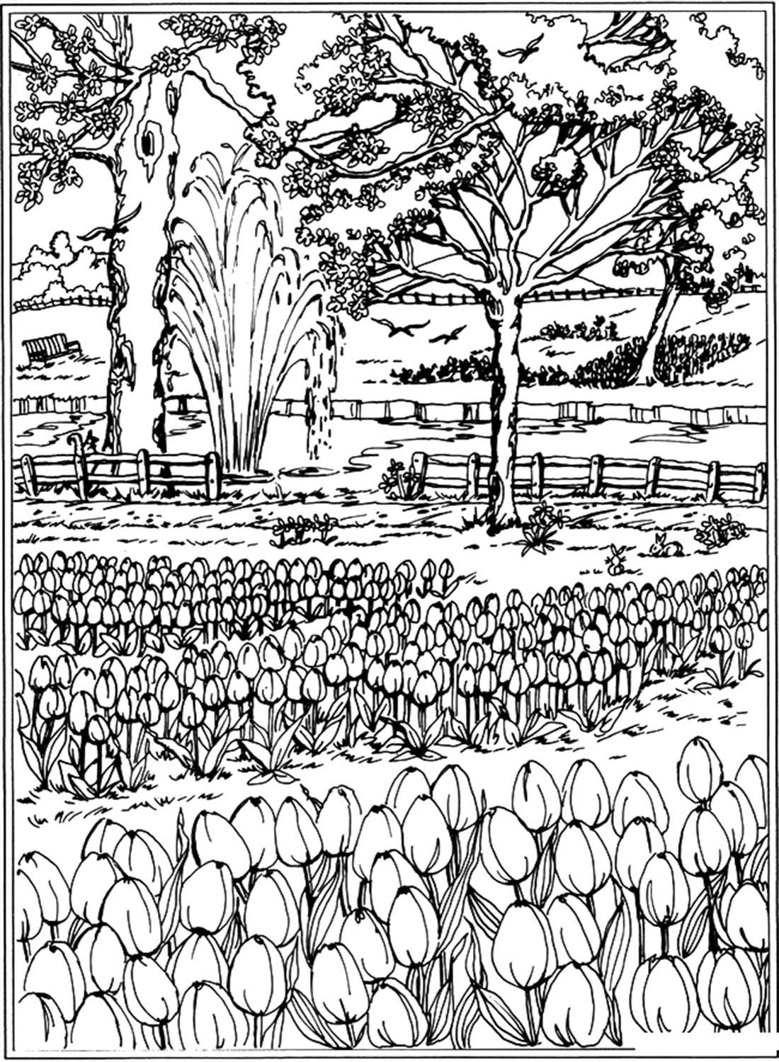 Página para colorir de campos de tulipas