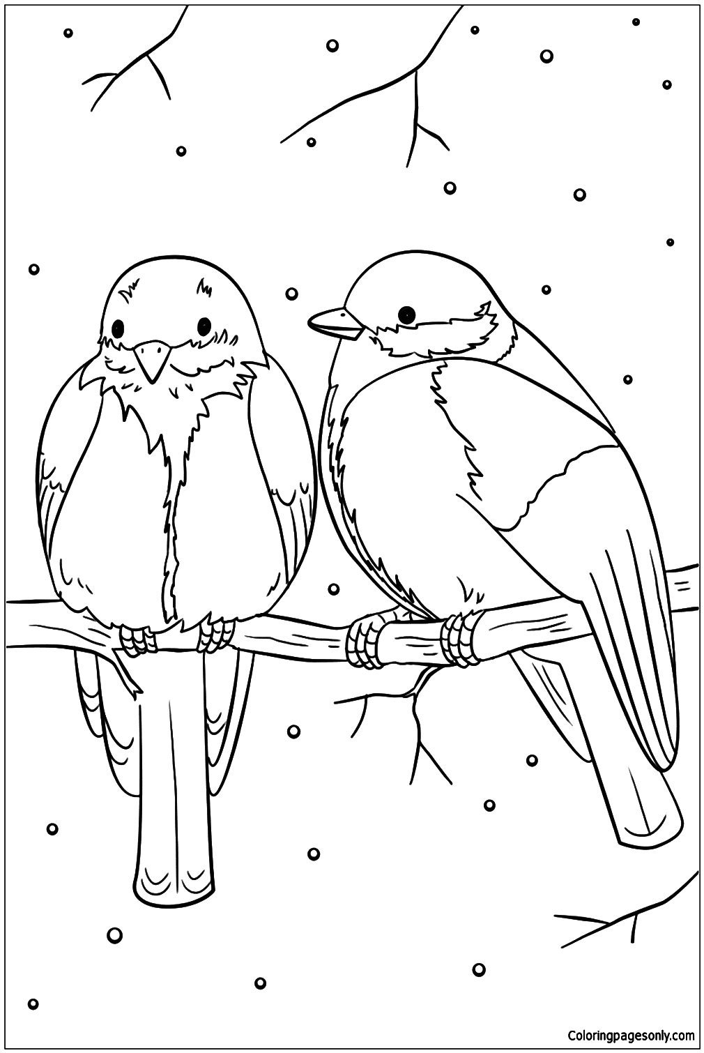 Winter Birds Coloring Pages