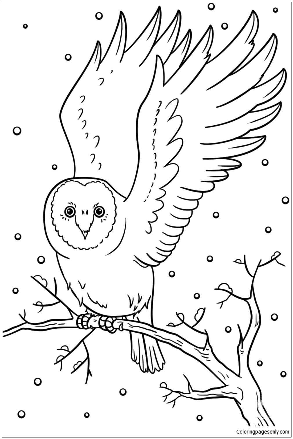 Winter Owl Coloring Pages