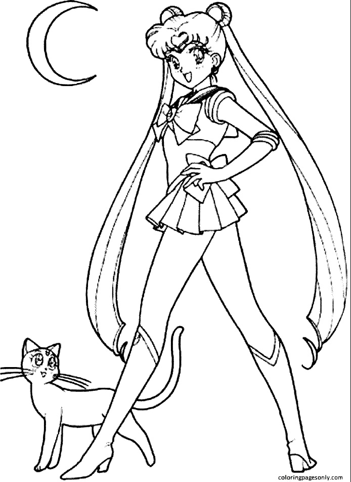 Anime Sailor Moon 1 from Sailor Moon