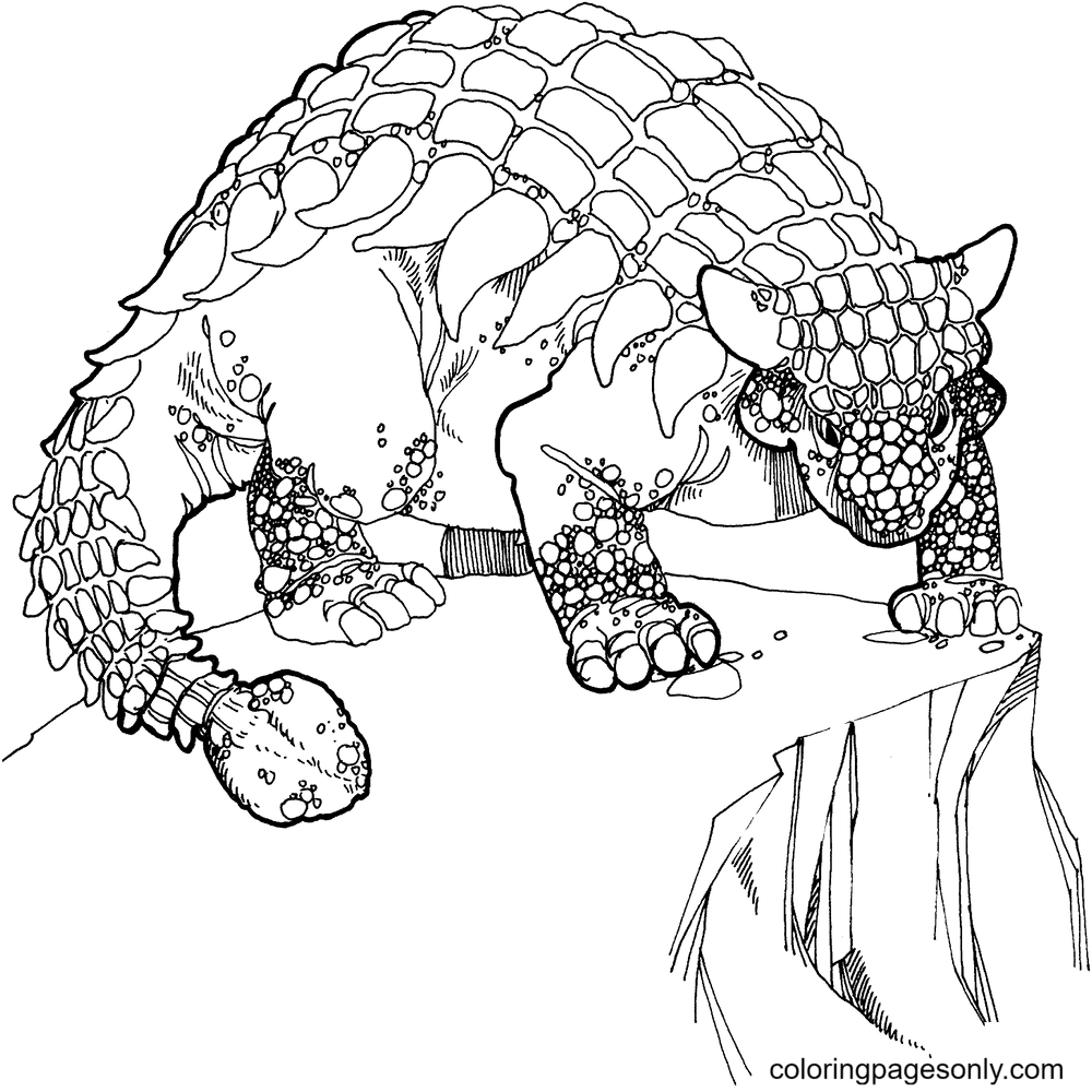 Desenho Para Colorir dinossauro - anquilossauro - Imagens Grátis